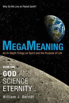 Paperback Megameaning: Book One: God and the Science of Eternity Book