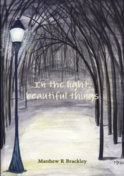 Paperback In the light, beautiful things Book