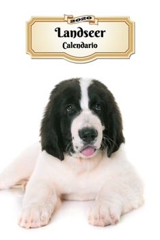 2020 Landseer Calendario: 107 P�ginas Tama�o A5 Planificador Semanal 12 Meses 1 Semana en 2 P�ginas Agenda Semana Vista Tapa Blanda Perro