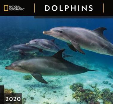 Calendar Cal 2020-National Geographic Dolphins Wall Book