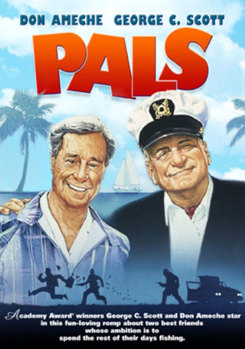 DVD Pals Book