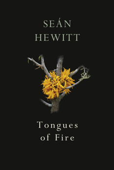 Paperback Tongues of Fire Book