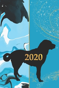 2020: 2020 Sunday Start Monthly Calendar and Organizer | Beagle Gift for Women