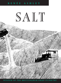 Paperback Salt: Volume 1991 Book