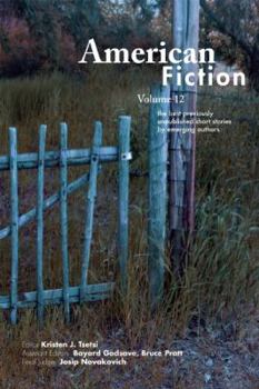 Paperback American Fiction, Volume 12: The Best Unpublished Stories by Emerging Writers Book