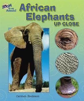African Elephants Up Close - Book  of the Zoom In on Animals!