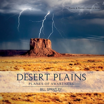 Paperback Desert Plains: Planes of Awareness Book