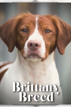 Paperback Brittany Breed: Dog breed overview and guide Book