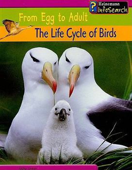 Paperback The Life Cycle of Birds Book