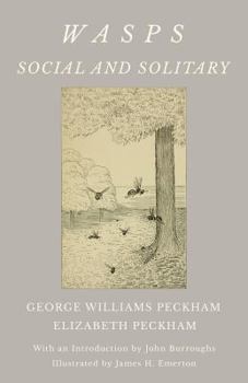 Wasps: Social and Solitary