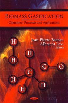 Hardcover Biomass Gasification: Chemistry, Processes and Applications (Renewable Energy: Research, Development and Policies Series) Book