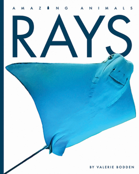 Rays - Book  of the Amazing Animals