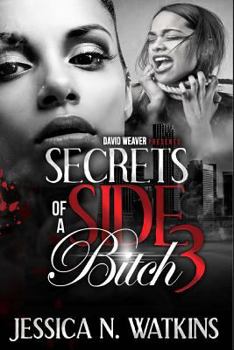 Paperback Secrets of a Side Bitch 3 Book