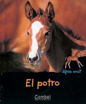 Little Horses (Born to Be Wild) - Book  of the Born to be Wild