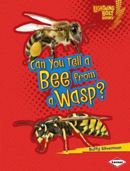 Can You Tell a Bee from a Wasp? - Book  of the Animal Look-Alikes