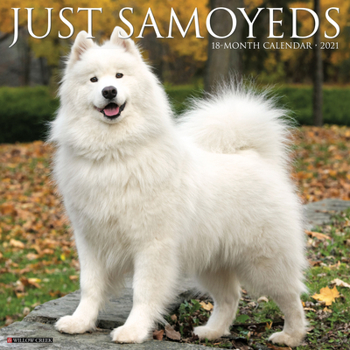 Calendar Just Samoyeds 2021 Wall Calendar (Dog Breed Calendar) Book