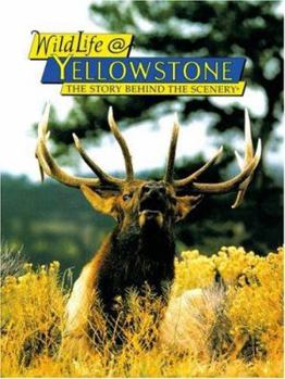 Paperback Wildlife @ Yellowstone Book