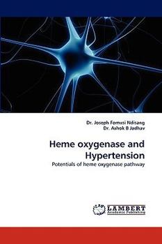 Heme oxygenase and Hypertension: Potentials of heme oxygenase pathway