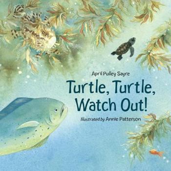 Hardcover Turtle, Turtle, Watch Out! Book