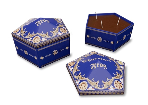 Misc. Harry Potter: Chocolate Frog Candle Book