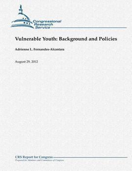 Paperback Vulnerable Youth: Background and Policies Book