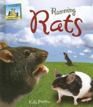 Running Rats - Book  of the Perfect Pets