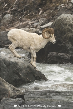SHEEP! A 2020 Weekly Planner: Cover Sheep: March (Best Laid Plans)