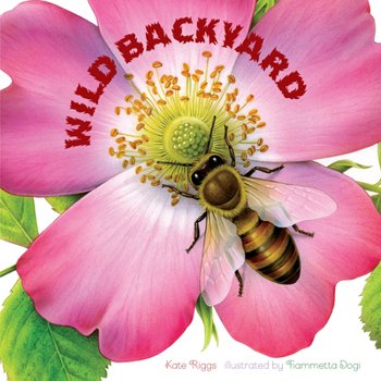 Board book Wild Backyard Book