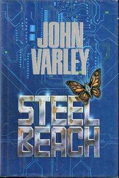 Hardcover Steel Beach Book