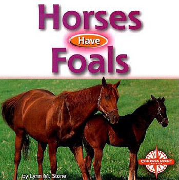 Hardcover Horses Have Foals Book