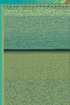 Paperback Blackberry Sponge with Custard Book