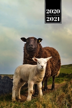 Sheep Lamm Shepherd Herder Farmer Week Planner Weekly Organizer Calendar 2020 / 2021 - Parent and Child: Cute Wildlife Animal Pet Bullet Journal Notebook Diary in 6” x 9” Inch Pocket Size