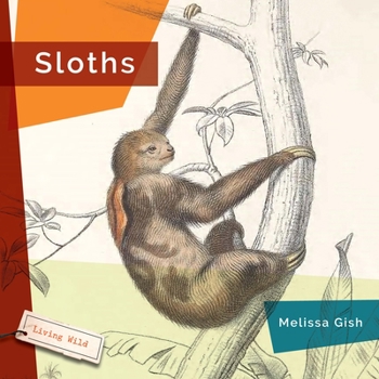 Hardcover Sloths Book