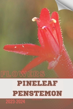 Paperback Pineleaf Penstemon: Become flowers expert Book