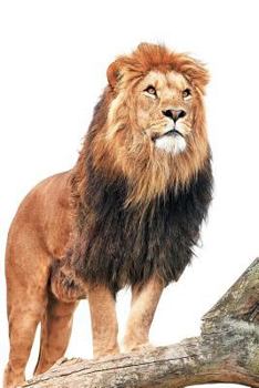 Paperback King of the Jungle Notebook: 100 Page Wide-lined Blank Journal Book