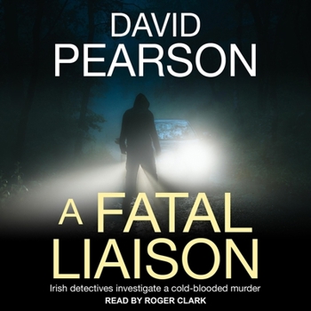 A Fatal Liaison - Book #2 of the Dublin Homicides