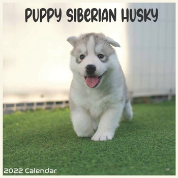 Siberian Husky Puppy 2022 Calendar: Official Siberian Husky Dog breed Calendar 2022 16 Months