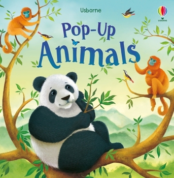 Board book Pop-Up Animals Book