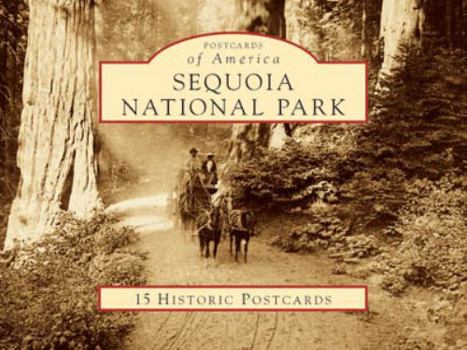 Cards Sequoia National Park Book