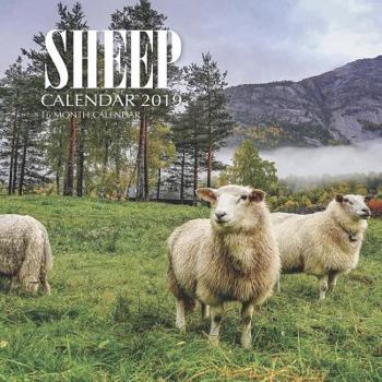 Paperback Sheep Calendar 2019: 16 Month Calendar Book