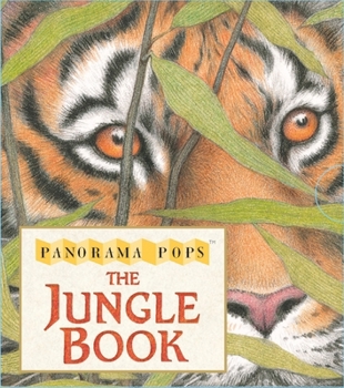 Hardcover Jungle Book Slipcase Book