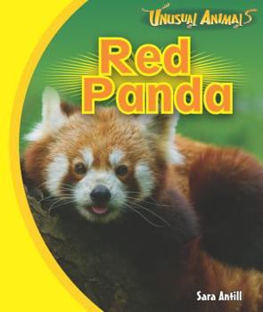 Paperback Red Panda Book