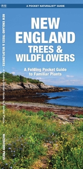 Paperback New England Trees & Wildflowers: A Folding Pocket Guide to Familiar Plants Book