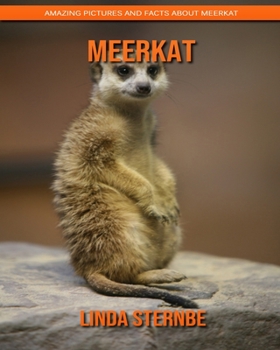 Paperback Meerkat: Amazing Pictures and Facts About Meerkat Book
