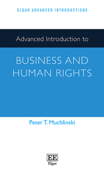 Paperback Advanced Introduction to Business and Human Rights (Elgar Advanced Introductions series) Book