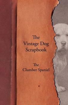 Paperback The Vintage Dog Scrapbook - The Clumber Spaniel Book