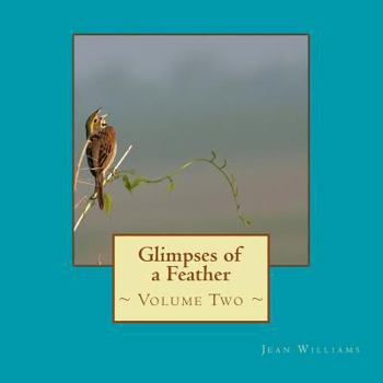 Paperback Glimpses of a Feather - Volume Two Book