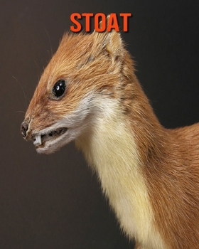 Paperback Stoat: Amazing Facts about Stoat Book