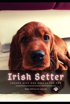 Paperback Irish Setter: Choose best dog breeds for you Book