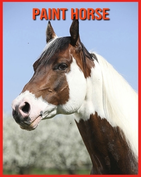 Paint Horse: Livre pour Enfants Images & Informations Etonnantes Concernant les Paint Horse
